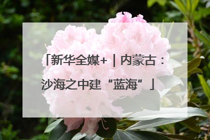 新华全媒+｜内蒙古：沙海之中建“蓝海”