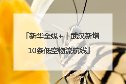 新华全媒+｜武汉新增10条低空物流航线