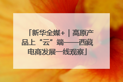 新华全媒+｜高原产品上“云”端——西藏电商发展一线观察