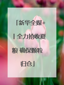 新华全媒+丨全力抢收夏粮 确保颗粒归仓