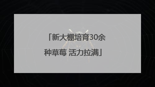 新大棚培育30余种草莓 活力拉满