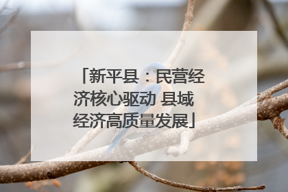 新平县：民营经济核心驱动 县域经济高质量发展