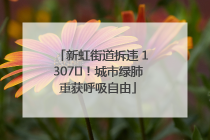 新虹街道拆违 1307㎡！城市绿肺重获呼吸自由