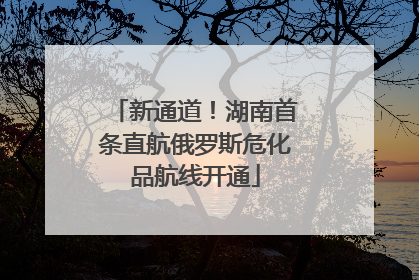 新通道！湖南首条直航俄罗斯危化品航线开通