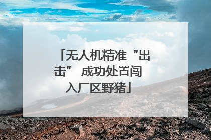 无人机精准“出击” 成功处置闯入厂区野猪
