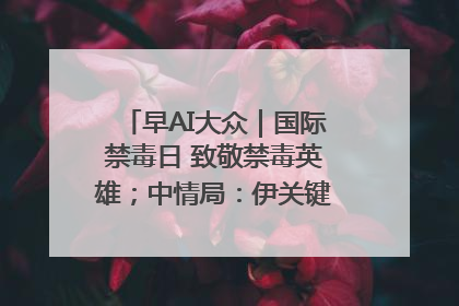 早AI大众｜国际禁毒日 致敬禁毒英雄；中情局：伊关键核设施被摧毁