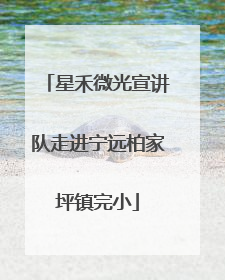 星禾微光宣讲队走进宁远柏家坪镇完小