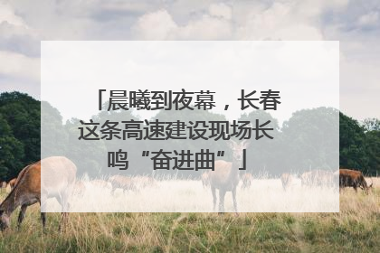 晨曦到夜幕，长春这条高速建设现场长鸣“奋进曲”