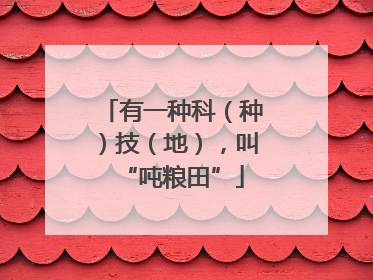 有一种科（种）技（地），叫“吨粮田”