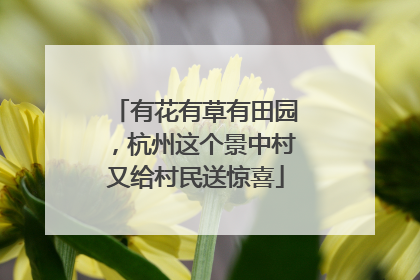 有花有草有田园，杭州这个景中村又给村民送惊喜