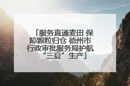 服务直通麦田 保障颗粒归仓 德州市行政审批服务局护航“三夏”生产