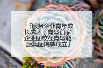 服务企业青年成长成才，青岛首家企业团校在青岛能源集团揭牌成立