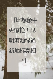 比想象中更惊艳！昆明滇池绿道新地标亮相→
