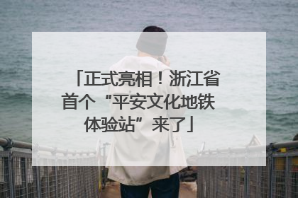 正式亮相！浙江省首个“平安文化地铁体验站”来了
