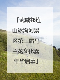 武威祁连山冰沟河景区第二届马兰花文化嘉年华启幕