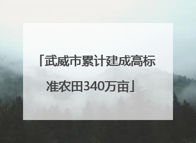 武威市累计建成高标准农田340万亩