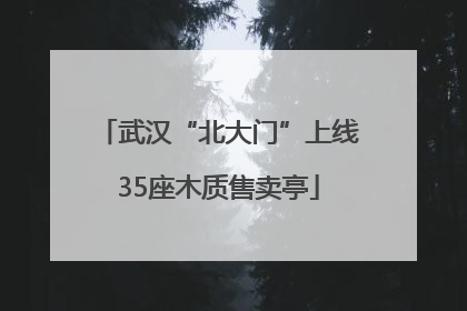武汉“北大门”上线35座木质售卖亭