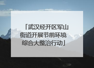 武汉经开区军山街道开展节前环境综合大整治行动