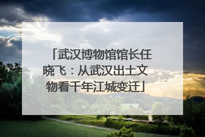 武汉博物馆馆长任晓飞：从武汉出土文物看千年江城变迁