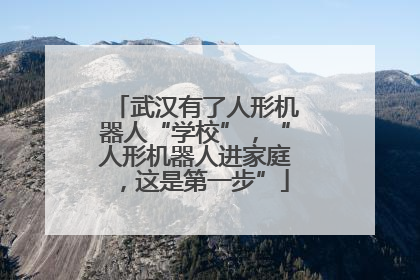 武汉有了人形机器人“学校”，“人形机器人进家庭，这是第一步”