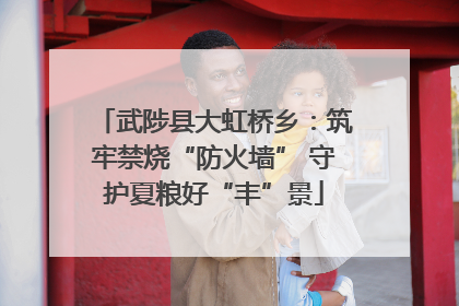 武陟县大虹桥乡：筑牢禁烧“防火墙” 守护夏粮好“丰”景