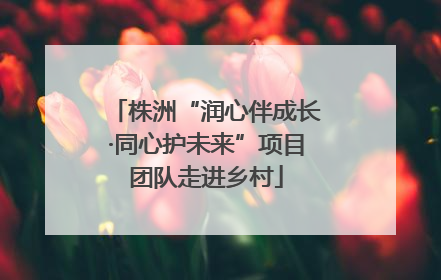 株洲“润心伴成长·同心护未来”项目团队走进乡村