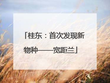桂东：首次发现新物种——宽距兰