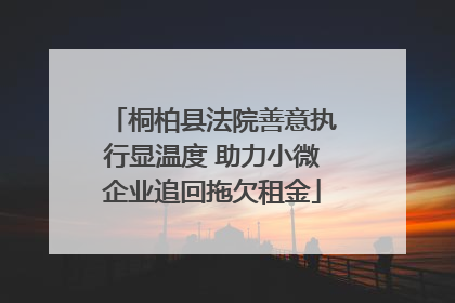 桐柏县法院善意执行显温度 助力小微企业追回拖欠租金