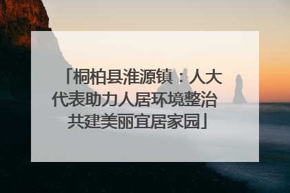 桐柏县淮源镇：人大代表助力人居环境整治 共建美丽宜居家园