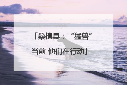 桑植县：“猛兽”当前 他们在行动