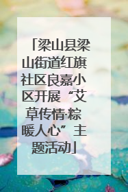 梁山县梁山街道红旗社区良嘉小区开展“艾草传情·粽暖人心”主题活动