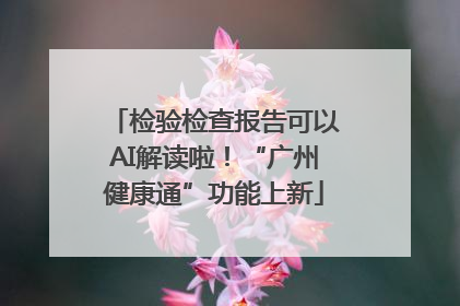 检验检查报告可以AI解读啦！“广州健康通”功能上新