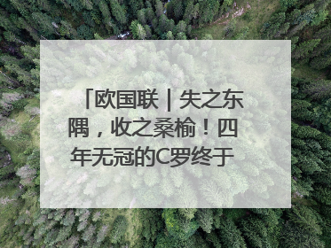 欧国联｜失之东隅，收之桑榆！四年无冠的C罗终于再次举起奖杯