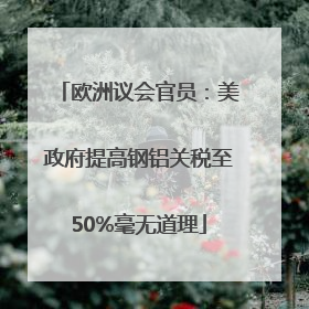 欧洲议会官员：美政府提高钢铝关税至50%毫无道理