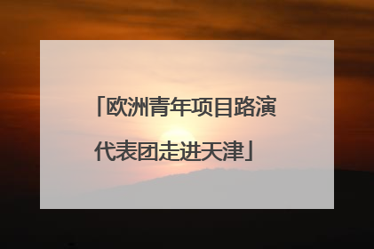 欧洲青年项目路演代表团走进天津