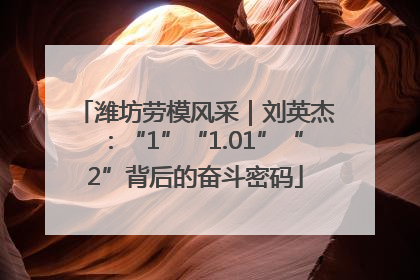 潍坊劳模风采｜刘英杰：“1”“1.01”“2”背后的奋斗密码