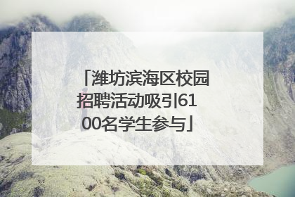 潍坊滨海区校园招聘活动吸引6100名学生参与