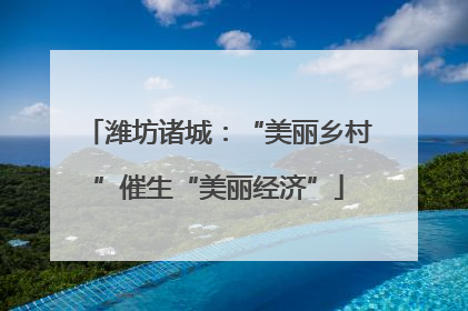 潍坊诸城：“美丽乡村”催生“美丽经济”