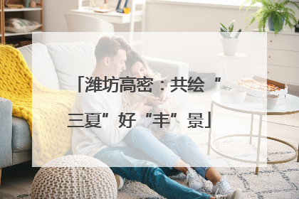 潍坊高密：共绘“三夏”好“丰”景