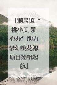 潮泉镇“桃小美·泉心办”助力梦幻桃花源项目扬帆起航