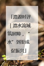 澧源时评｜澧水流域筑屏障，“水”到渠成促振兴