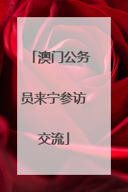 澳门公务员来宁参访交流