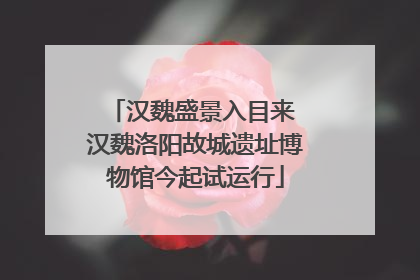 汉魏盛景入目来 汉魏洛阳故城遗址博物馆今起试运行