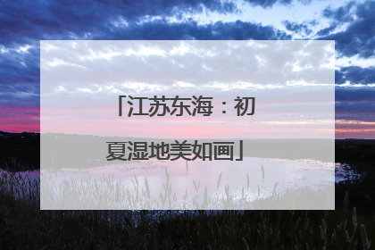 江苏东海：初夏湿地美如画