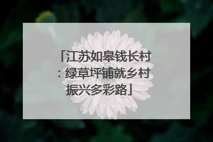 江苏如皋钱长村：绿草坪铺就乡村振兴多彩路