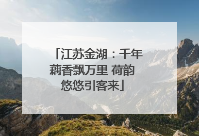 江苏金湖：千年藕香飘万里 荷韵悠悠引客来