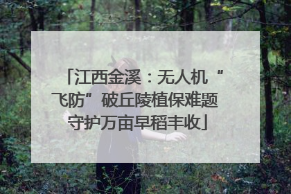 江西金溪：无人机“飞防”破丘陵植保难题 守护万亩早稻丰收