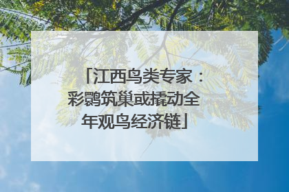 江西鸟类专家：彩鹮筑巢或撬动全年观鸟经济链