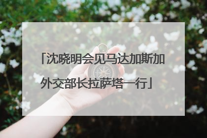 沈晓明会见马达加斯加外交部长拉萨塔一行