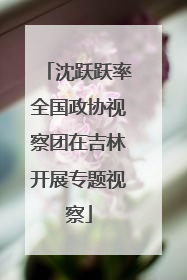 沈跃跃率全国政协视察团在吉林开展专题视察